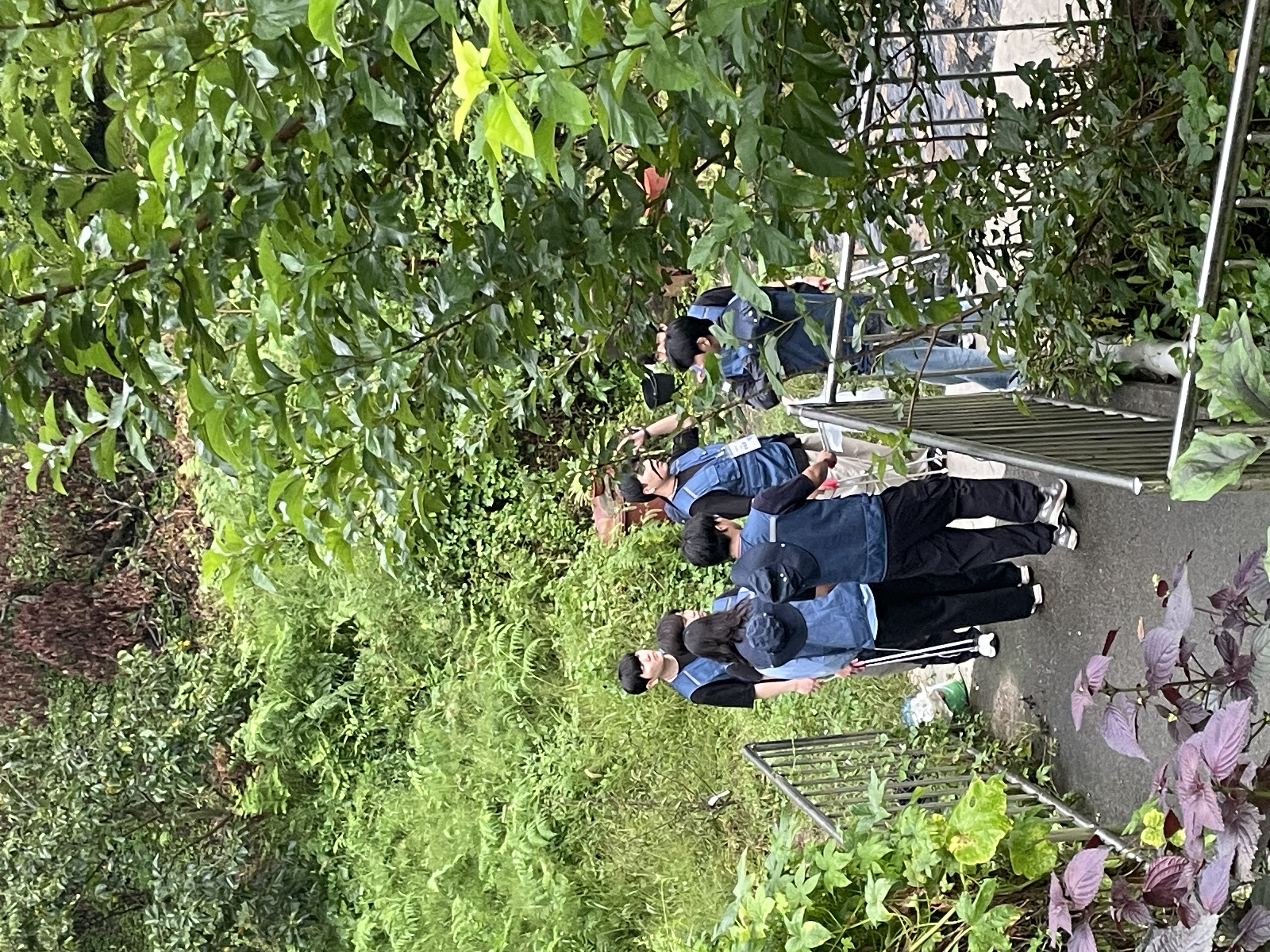 전주시 낙수정 새뜰마을 탐방&플로깅